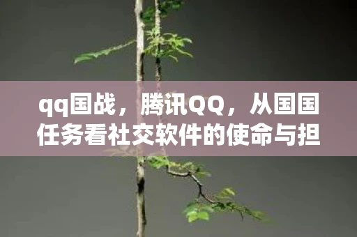 qq国战,腾讯QQ,从国国任务看社交软件的使命与担当 qq国战,腾讯QQ,从国国任务看社交软件的使命与担当