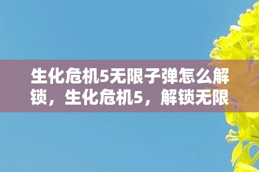 生化危机5无限子弹怎么解锁,生化危机5,解锁无限子弹的终极攻略 生化危机5无限子弹怎么解锁,生化危机5,解锁无限子弹的终极攻略