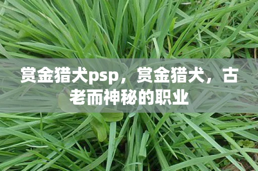 赏金猎犬psp,赏金猎犬,古老而神秘的职业 赏金猎犬psp,赏金猎犬,古老而神秘的职业