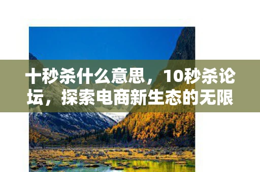 十秒杀什么意思,10秒杀论坛,探索电商新生态的无限可能 十秒杀什么意思,10秒杀论坛,探索电商新生态的无限可能