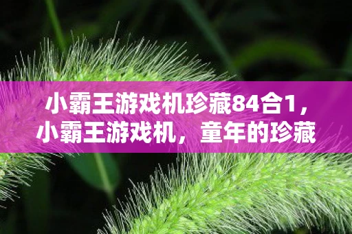 小霸王游戏机珍藏84合1，小霸王游戏机，童年的珍藏