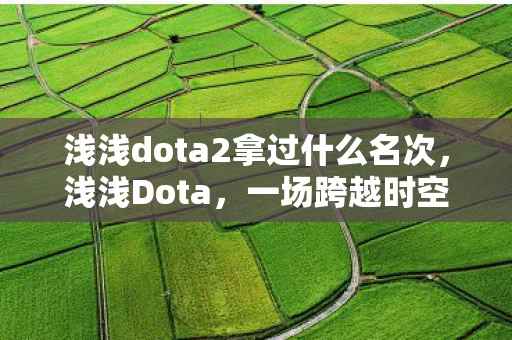 浅浅dota2拿过什么名次，浅浅Dota，一场跨越时空的电竞之旅