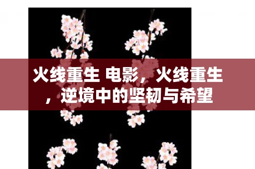 火线重生 电影，火线重生，逆境中的坚韧与希望