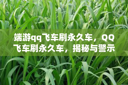 端游qq飞车刷永久车,QQ飞车刷永久车,揭秘与警示 端游qq飞车刷永久车,QQ飞车刷永久车,揭秘与警示