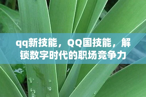 qq新技能,QQ国技能,解锁数字时代的职场竞争力 qq新技能,QQ国技能,解锁数字时代的职场竞争力