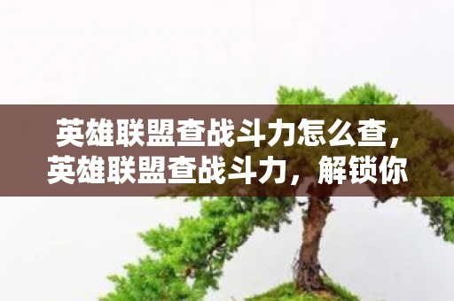 英雄联盟查战斗力怎么查，英雄联盟查战斗力，解锁你的游戏实力