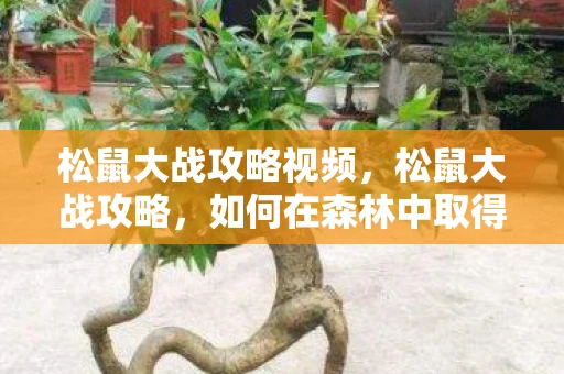 松鼠大战攻略视频，松鼠大战攻略，如何在森林中取得胜利