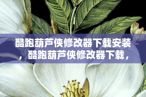 酷跑葫芦侠修改器下载安装，酷跑葫芦侠修改器下载，安全、便捷的游戏辅助工具