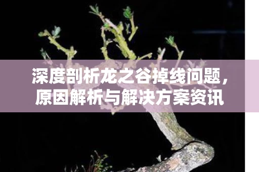 深度剖析龙之谷掉线问题图片