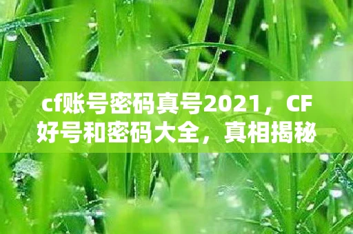 cf账号密码真号2021，CF好号和密码大全，真相揭秘与注意事项