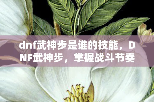 dnf武神步是谁的技能，DNF武神步，掌握战斗节奏，成为真正的武神