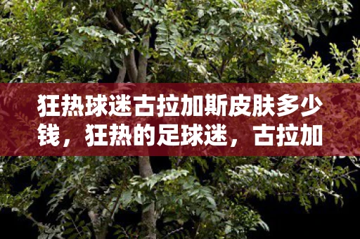 狂热球迷古拉加斯皮肤多少钱，狂热的足球迷，古拉加斯的足球情缘