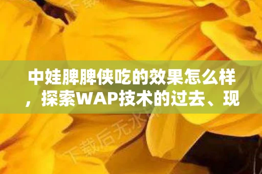 中娃脾脾侠吃的效果怎么样，探索WAP技术的过去、现在与未来