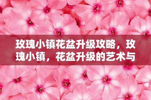 玫瑰小镇花盆升级攻略，玫瑰小镇，花盆升级的艺术与科学