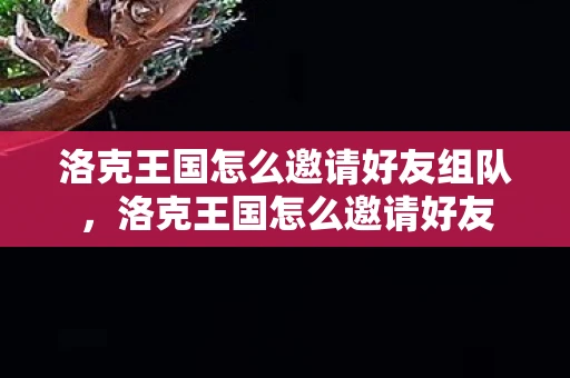 洛克王国怎么邀请好友组队，洛克王国怎么邀请好友