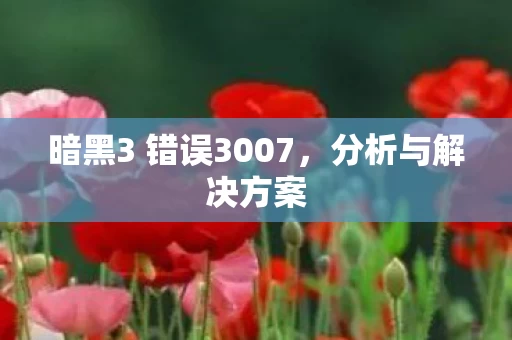 暗黑3 错误3007图片