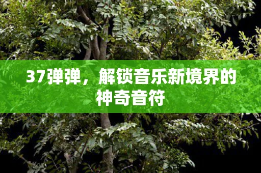 37弹弹,解锁音乐新境界的神奇音符 37弹弹,解锁音乐新境界的神奇音符