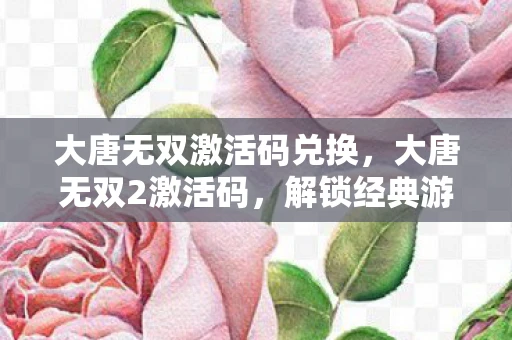 大唐无双激活码兑换，大唐无双2激活码，解锁经典游戏的神秘钥匙