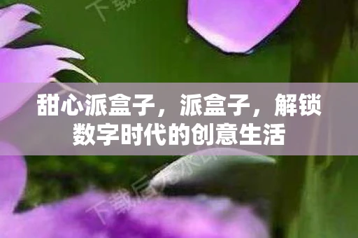 甜心派盒子，派盒子，解锁数字时代的创意生活