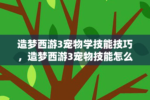 造梦西游3宠物学技能技巧，造梦西游3宠物技能怎么学？全面解析宠物技能学习攻略