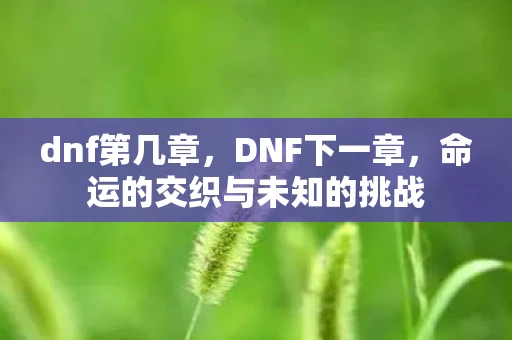dnf第几章，DNF下一章，命运的交织与未知的挑战