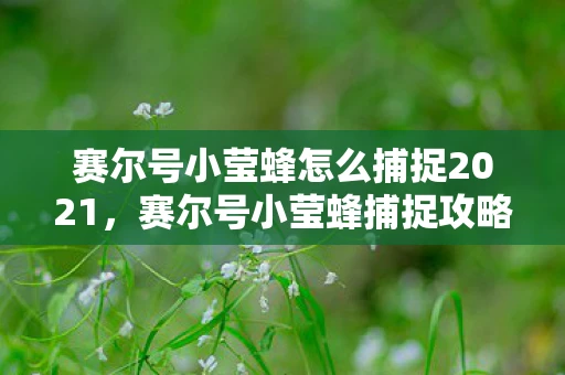 赛尔号小莹蜂怎么捕捉2021，赛尔号小莹蜂捕捉攻略，轻松捕获萌宠小莹蜂