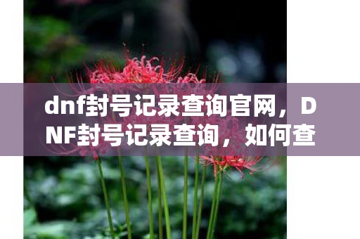 dnf封号记录查询官网,DNF封号记录查询,如何查看与避免账号被封 dnf封号记录查询官网,DNF封号记录查询,如何查看与避免账号被封