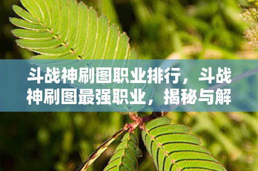 斗战神刷图职业排行，斗战神刷图最强职业，揭秘与解析