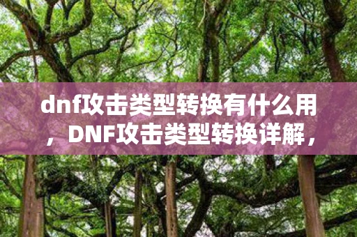 dnf攻击类型转换有什么用,DNF攻击类型转换详解,打造高效战斗策略 dnf攻击类型转换有什么用,DNF攻击类型转换详解,打造高效战斗策略