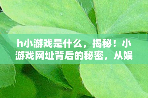 h小游戏是什么，揭秘！小游戏网址背后的秘密，从娱乐到商业的蜕变
