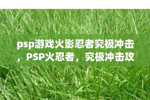 psp游戏火影忍者究极冲击,PSP火忍者,究极冲击攻略 psp游戏火影忍者究极冲击,PSP火忍者,究极冲击攻略