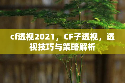 cf透视2021,CF子透视,透视技巧与策略解析 cf透视2021,CF子透视,透视技巧与策略解析