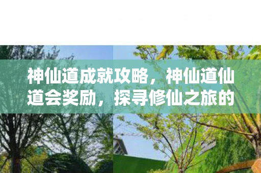 神仙道成就攻略，神仙道仙道会奖励，探寻修仙之旅的奥秘