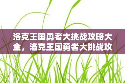 洛克王国勇者大挑战攻略大全，洛克王国勇者大挑战攻略