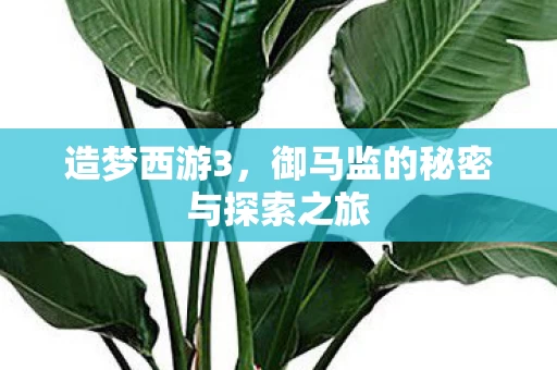 御马监的秘密与探索之旅图片