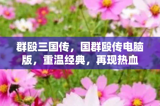 群殴三国传，国群殴传电脑版，重温经典，再现热血