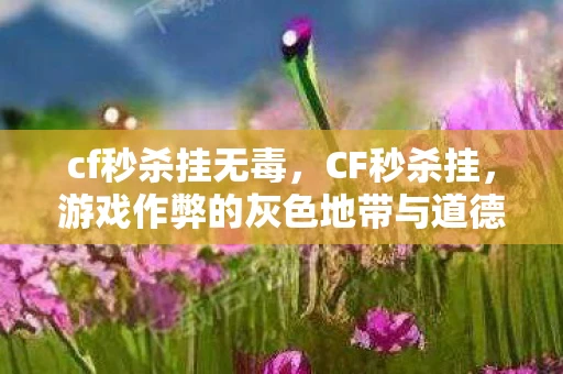 cf秒杀挂无毒,CF秒杀挂,游戏作弊的灰色地带与道德反思 cf秒杀挂无毒,CF秒杀挂,游戏作弊的灰色地带与道德反思