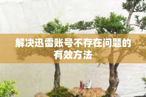 解决迅雷账号不存在问题的有效方法图片