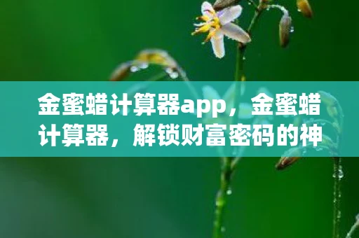 金蜜蜡计算器app，金蜜蜡计算器，解锁财富密码的神奇工具