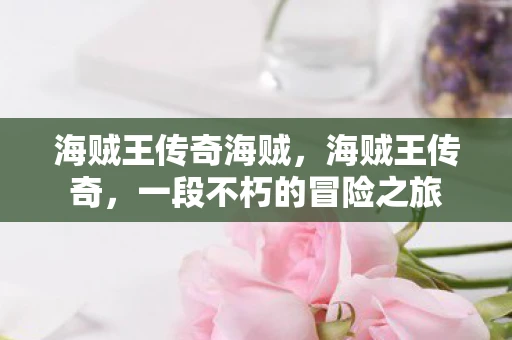 海贼王传奇海贼，海贼王传奇，一段不朽的冒险之旅