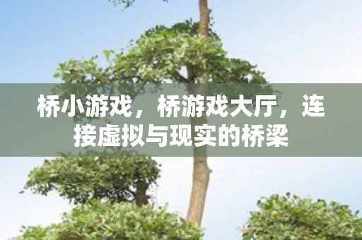 桥小游戏,桥游戏大厅,连接虚拟与现实的桥梁 桥小游戏,桥游戏大厅,连接虚拟与现实的桥梁