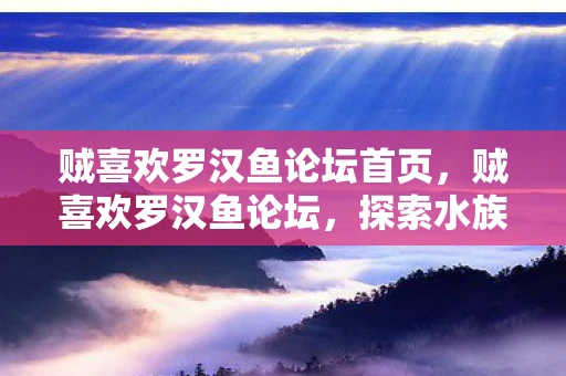 贼喜欢罗汉鱼论坛首页，贼喜欢罗汉鱼论坛，探索水族世界的奇妙之旅