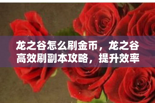 龙之谷怎么刷金币，龙之谷高效刷副本攻略，提升效率与收益