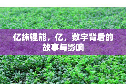 亿纬锂能，亿，数字背后的故事与影响