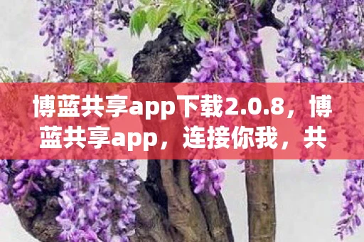 博蓝共享app下载2.0.8,博蓝共享app,连接你我,共享未来 博蓝共享app下载2.0.8,博蓝共享app,连接你我,共享未来