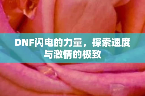 探索速度与激情的极致图片