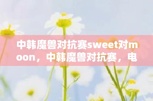 中韩魔兽对抗赛sweet对moon，中韩魔兽对抗赛，电竞激情的碰撞