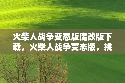 火柴人战争变态版魔改版下载，火柴人战争变态版，挑战与策略并存的全新体验