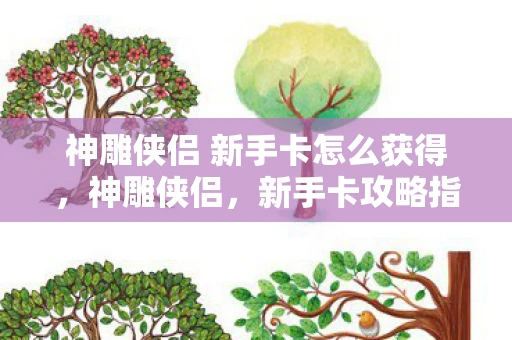 神雕侠侣 新手卡怎么获得,神雕侠侣,新手卡攻略指南 神雕侠侣 新手卡怎么获得,神雕侠侣,新手卡攻略指南