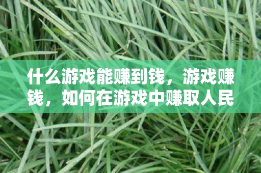 什么游戏能赚到钱，游戏赚钱，如何在游戏中赚取人民币